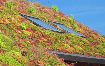 Weld Bank living roof systems