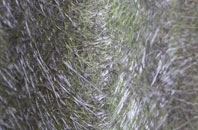 Weld Bank fibreglass roof work